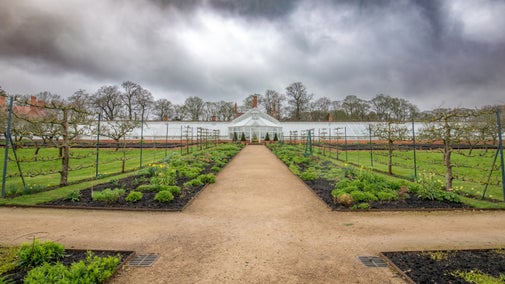 Full Glasshouse and the walled kitchen garden